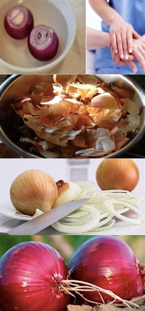 Suco de abobora pregnancy baixar ahora colesterol. Como baixar o colesterol bem rápido com cebola? # ...