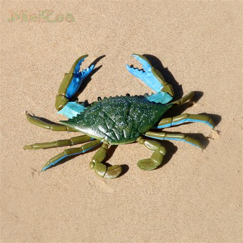 Safari Ltd Blue Crab 269729 Incredible Creatures