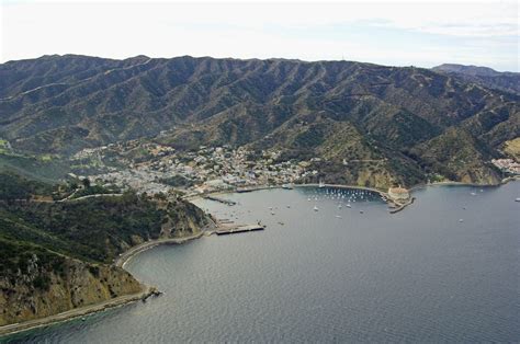 Avalon Bay Catalina Island In Ca United States Harbor Reviews