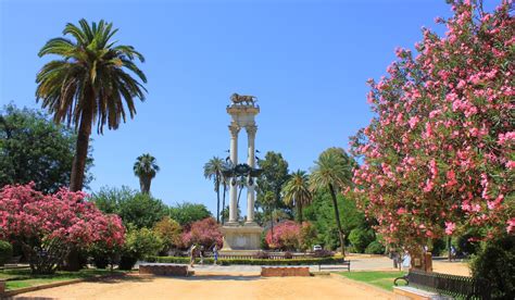 Jun 24, 2021 · el portavoz adjunto de adelante sevilla en el ayuntamiento hispalense, daniel gonzález rojas, ha advertido, un año más, del lamentable estado que presenta el estanque del parque de los. 5 jardines de Sevilla que son auténticas joyas