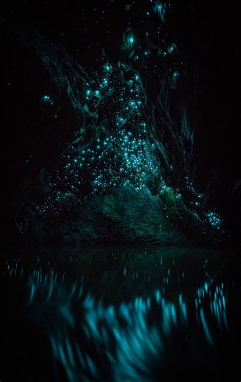 Glowing Worms Turn Caves In New Zealand Into A Magical Wonderland