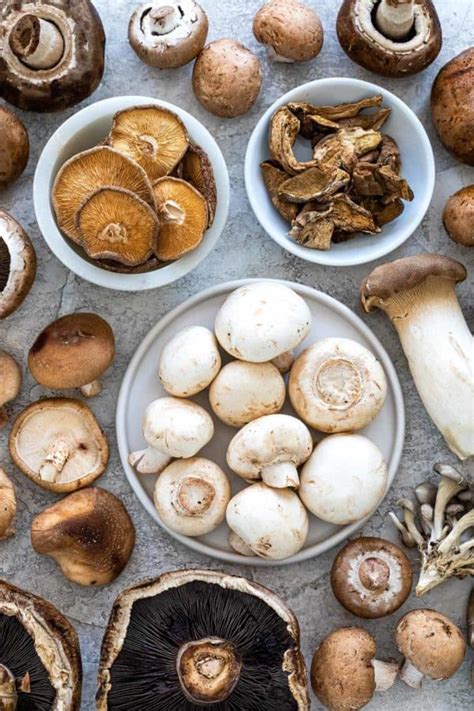 14 Types Of Mushrooms Jessica Gavin
