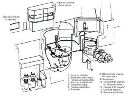 2 Ecorché Du Molten Salt Reactor Experiment Download Scientific Diagram