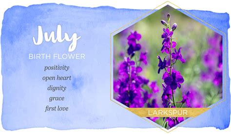 Birth Month Flowers And Their Meanings July Birth Flower Birth