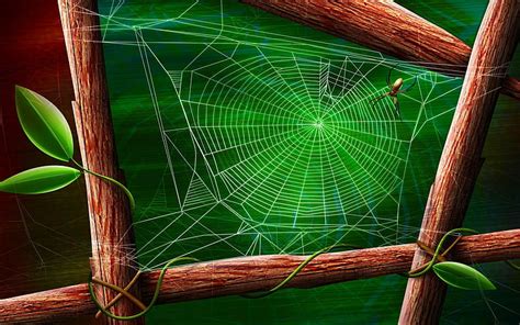 Free Download Hd Wallpaper Spider Webs Wallpaper Flare