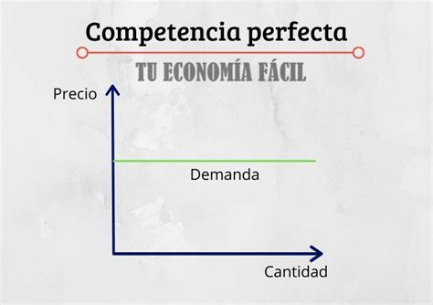 Ejemplos De Empresas Con Competencia Perfecta Nuevo Ejemplo