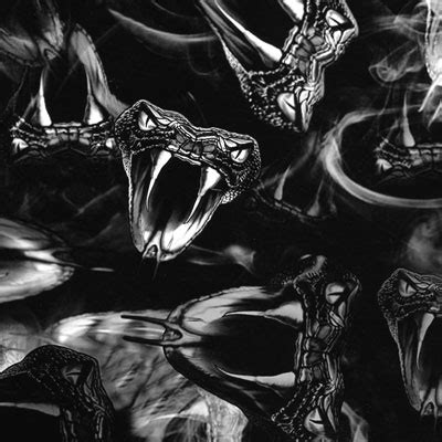 Viper tv memberships, merchandise, collaboration and perks. Viper Pit - PI Hydrographics