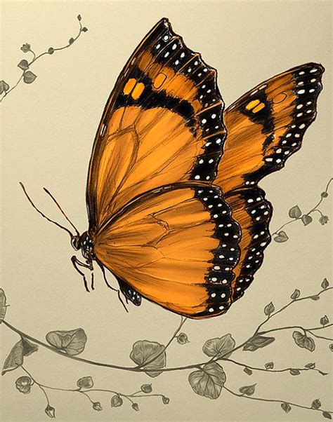 Monarch Butterfly By Martin Øbakke Butterfly Art Print Butterfly