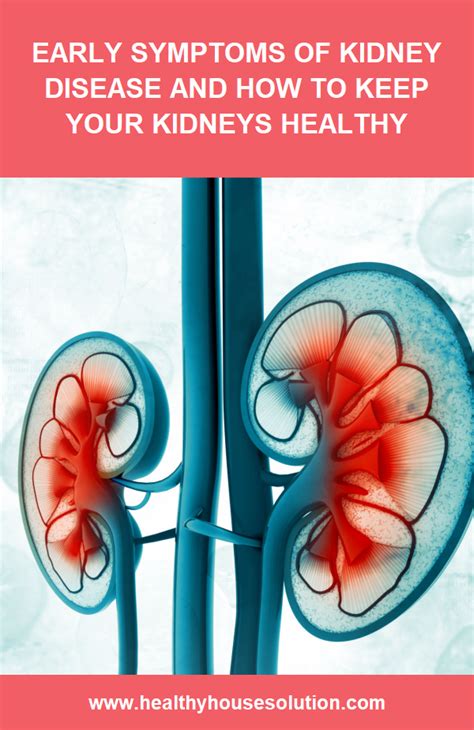 Early Symptoms Of Kidney Disease And How To Keep Your Kidneys Healthy