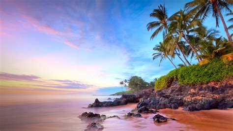 Palm Trees On Poolenalena Beach At Sunset Maui Hawaii Usa Windows