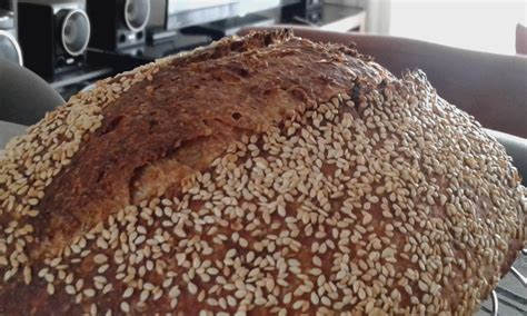 Sesame seed SD loaf | The Fresh Loaf