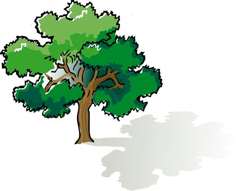 Oak Tree Tree Clip Art Free Clipart Images Clipart Image Cliparting Com