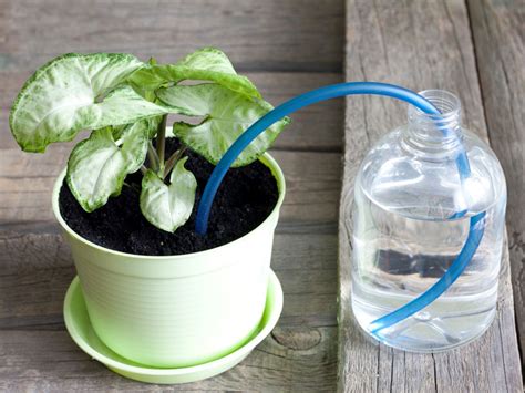 Automatic Houseplant Watering Making An Indoor Watering System