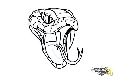 How To Draw A Snake Head Drawingnow