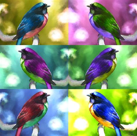 Six Pretty Colorful Birds Painting By Bruce Nutting Pixels