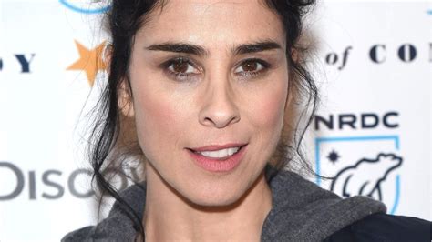 Sarah Silverman Posted A Photo Of Her Naked Breasts To Instagram To Make A Critical Point About