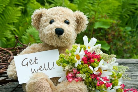 Get Well Soon Flowers Delivered Best Flower Site