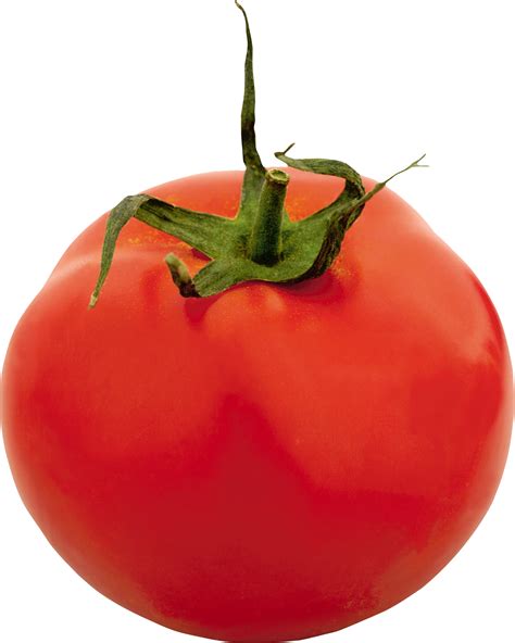 Grupo De Tomates Png Transparente Stickpng