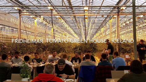 Fridheimar Tomato Green House Farm Iceland Youtube