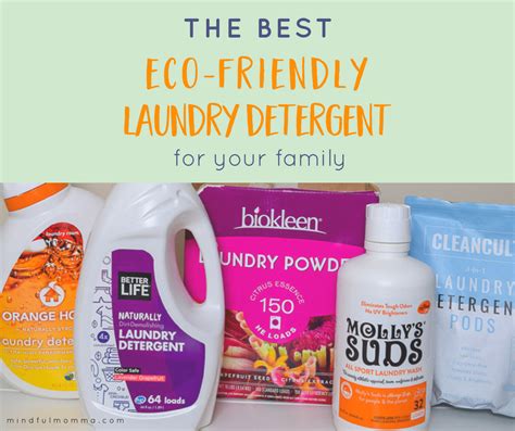 The Best Eco Friendly Laundry Detergent Brands That Work
