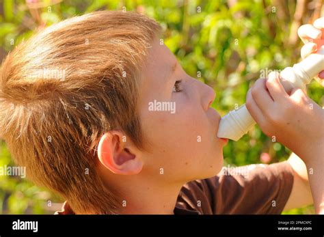 Young Boy Playing A Recorder Musical Instrument Stock Photo Alamy