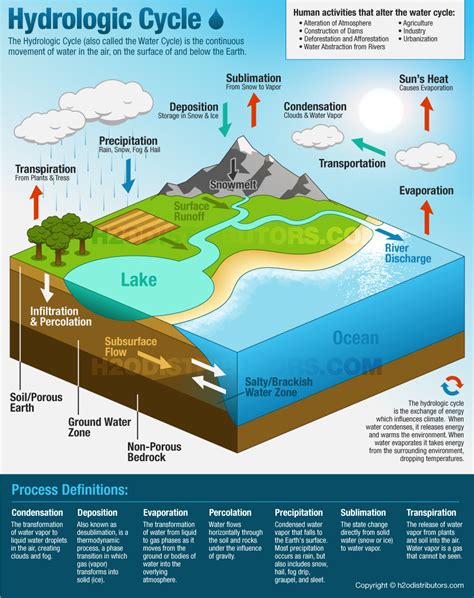 The Hydrologic Cycle Water Cycle H2o Distributors