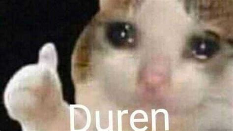 Know your meme is a website dedicated to documenting internet phenomena: Duren: ¿de dónde salió el meme del gatito que llora? - Gluc.mx