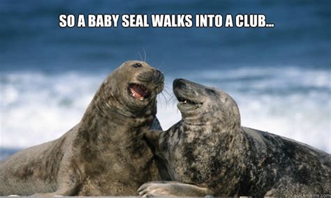 So A Baby Seal Walks Into A Club Comedian Seal