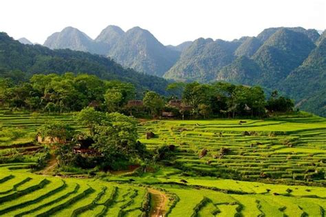 Vinh Long Meta Paradisiaca Luxury Travel Vietnams Blog