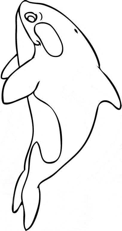 Killer whale coloring page coloring page. Killer Whale (Orca) coloring page - Animals Town - animals ...