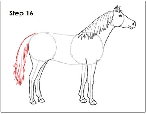 Cara Menggambar Kuda Mudah Untuk Anak Point Opini Penyedia Point