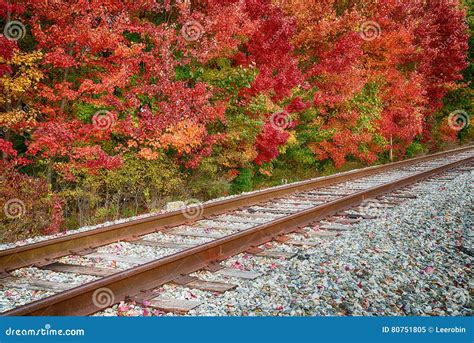 Railroad Tracks Along Autumn Trees Stock Image Image Of Nature