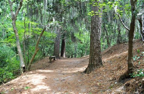 Everything To Know Before Visiting First Landing State Park