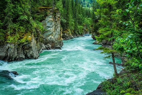 Choose from hundreds of free green wallpapers. River Between Green-leafed Tree Desktop Wallpapers ...