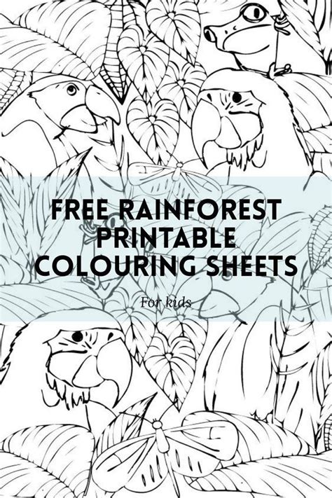 86 Tropical Rainforest Coloring Pages Inactive Zone