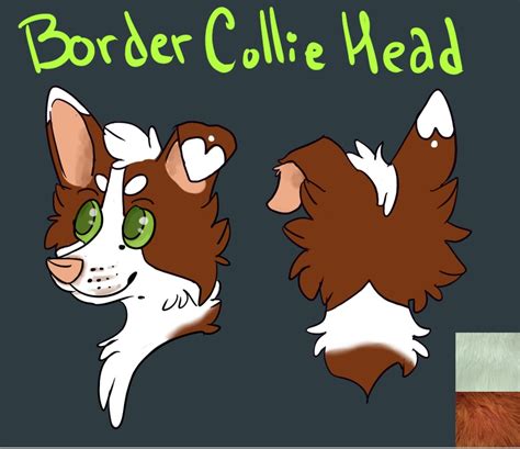 Realistic Border Collie Fursuit Head Adopt By Goldencat22 On Deviantart