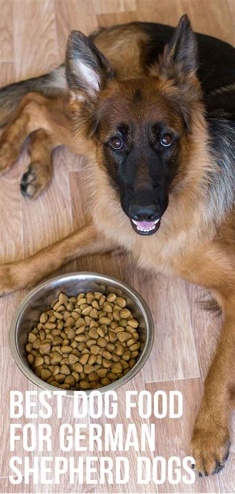 Smaller kibble size should also help prevent bloat. Best Dog Food for German Shepherd Dogs Young and Old