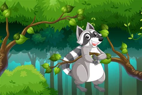 Cute Raccoon On The Tree Branch Stock Vector Illustration Of Outdoor