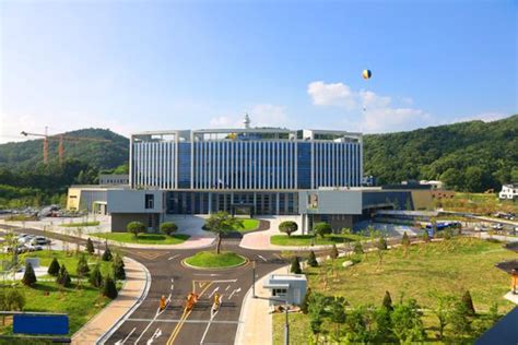 => 인대와 뼈가 붙는 부위에 주사액이 들어가 골인대연결부에서 인대를 증식시키는 치료. 트라이애슬론 경주시청팀 주장 장윤정 선수 구속