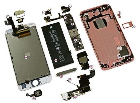 Partes Y Componentes De Un Móvil Iphone Moviles Samsung