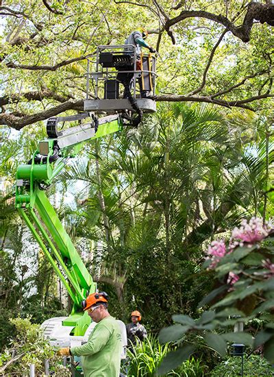Pest Control Service | Lawn Care | Tree Service | One Two Tree