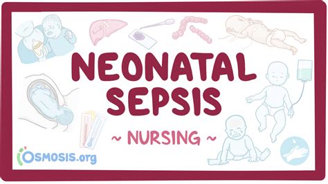 Neonatal Sepsis Nursing Osmosis Video Library