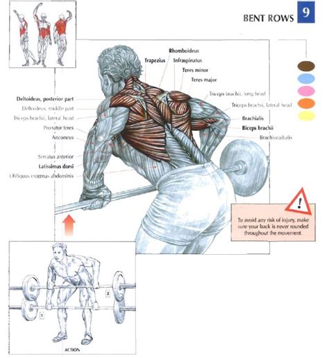 Check spelling or type a new query. Best Lower Back Exercises | Sports Science .co | Fitness ...