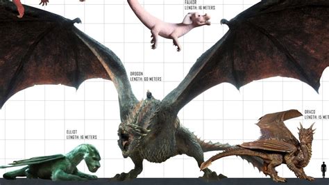 What Is The Biggest Dragon