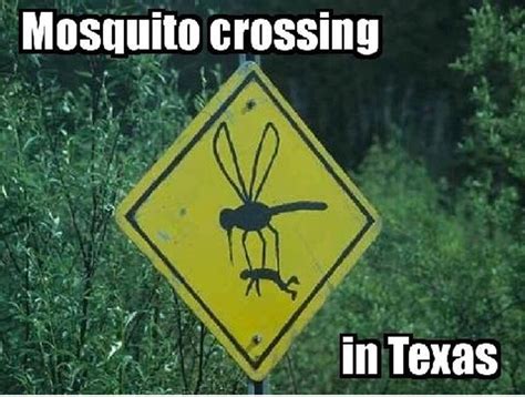 22 Jokes About Texas That Are Actually Funny Homesnacks
