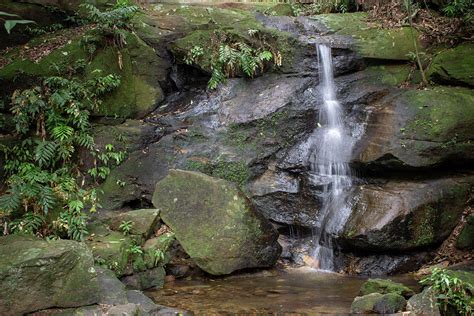 Thin Waterfall At A Trail Located On Tijuca Forest Rio De Janeiro