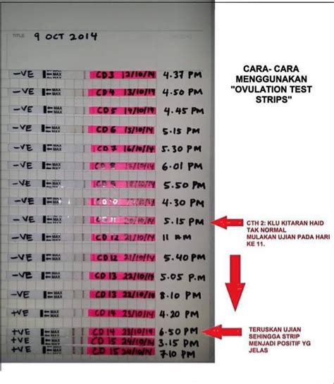 We did not find results for: SUSU KAMBING MYMILA: BILA NAK GUNA OPK (TEST KESUBURAN)