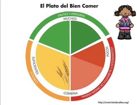 El plato del bien comer para armar colorear y explicar Educación