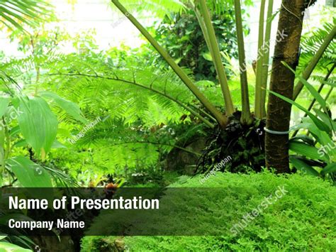 Green Plants Powerpoint Template Green Plants Powerpoint Background