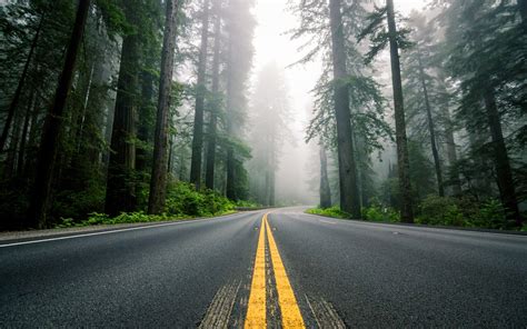 Road Full Hd Wallpaper And Background 2560x1600 Id567118